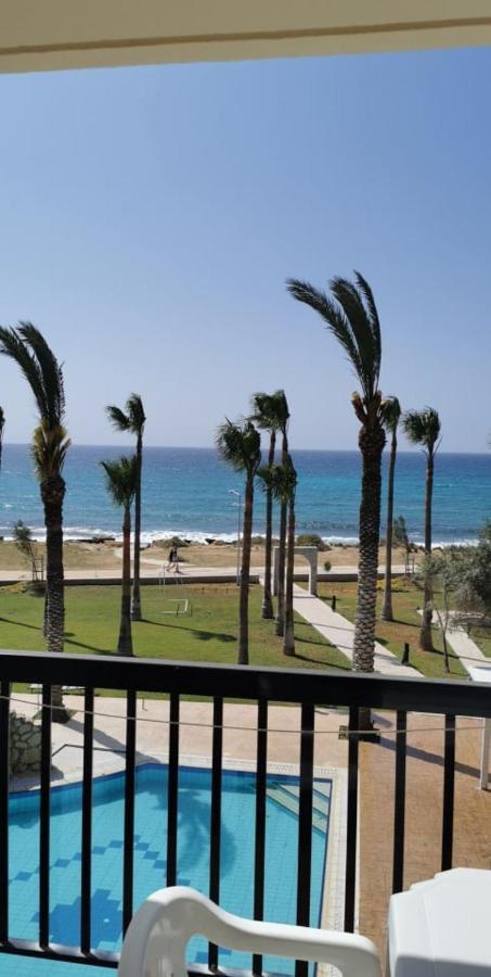 Simos Magic Beach Hotel Apts Айя-Напа Экстерьер фото